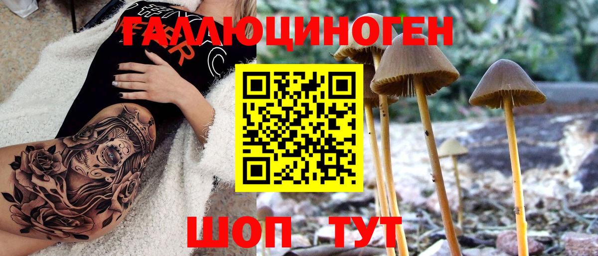 Псилоцибиновые грибы Magic Shrooms  Вход с VPN  Элиста  Псилоцибиновые грибы Cubensis 