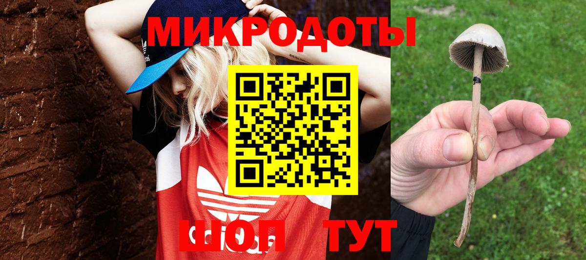 Галлюциногенные грибы прущие грибы Элиста